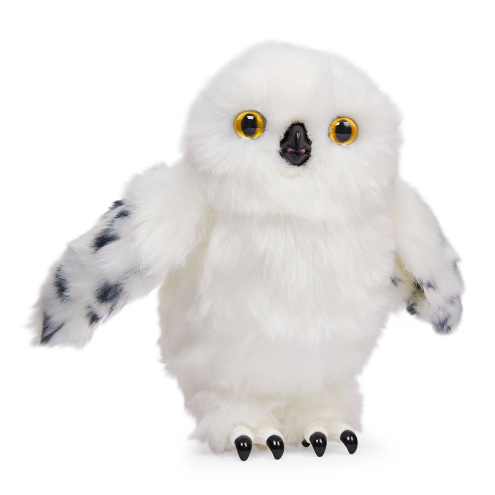 hedwig interactive